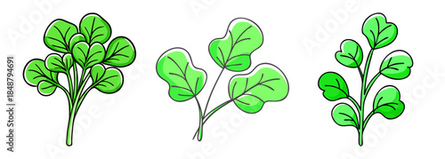 Fresh watercress sprigs artistic rendering green leafy edible plant bunch trio