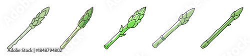 Group of asparagus spears healthy fresh green vegetable food ingredients for cooking and dieting