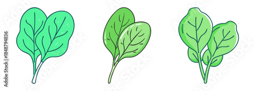 Three fresh baby spinach leaves isolated fresh green healthy food ingredients for salads and cooking