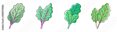 Four vibrant fresh beet greens stems with detailed leaf textures on a clean white canvas