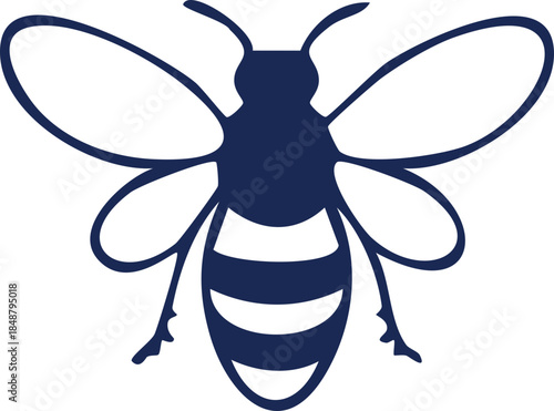 bee on white background