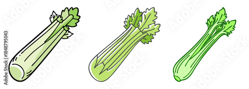 Three fresh celery stalks vibrant green healthy vegetable food ingredient for cooking and salads