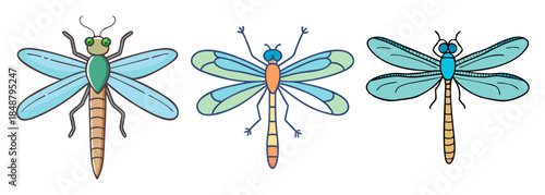 Three beautifully detailed dragonflies displaying intricate wing patterns and vibrant colors