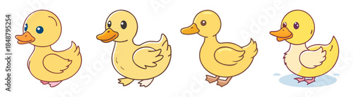 Four adorable cartoon yellow ducklings in different poses and angles on a for easter or spring themes