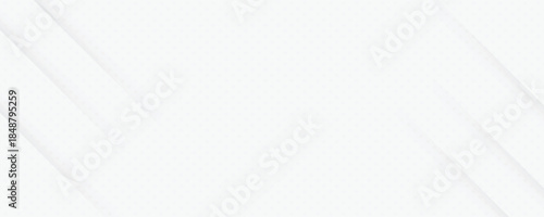 Abstract white modern Vector background presentation, vector illustration eps10