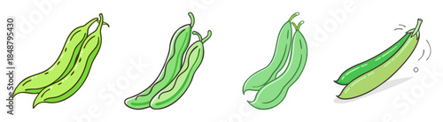 Fresh green beans variety four displayed individually showcasing different textures and shades of green