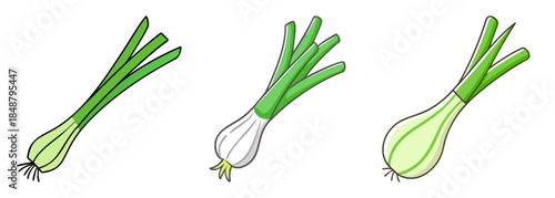 Three green onions fresh produce ready for culinary use spring onions scallions root vegetable organic food ingredient