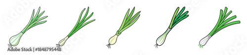 Fresh green onion stalks delicate sketch and watercolor accents artistic culinary ingredient inspiration