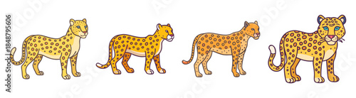 Four spotted big cats showcasing different leopard coat patterns and body types variations