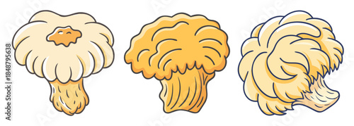 Three stylized lion's mane mushrooms showing unique textures and shapes in a row