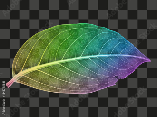 Single isolated leaf with vibrant rainbow colors, detailed translucent vein structure, modern abstract iridescent foliage graphic
