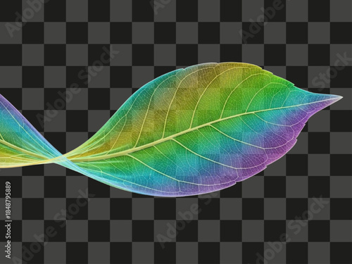 Single spectral gradient colored leaf with visible veins texture, vibrant wavy colorful design element, realistic botanical illustration, transparent background element