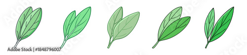 Five detailed sage leaves showcasing vibrant green hues and natural textures in a row