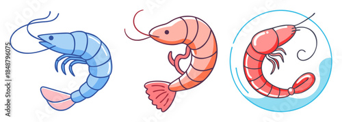 Three stylized shrimp drawings in blue pink and orange hues showing different poses and body segments