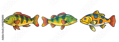 Vibrant cartoon illustration of diverse freshwater fish species with distinct markings