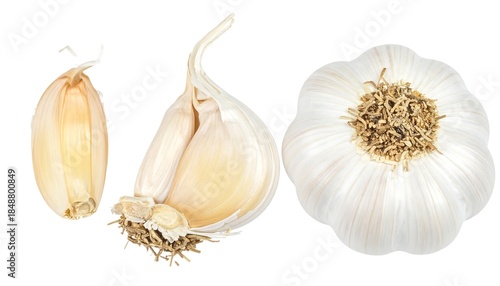 Trio of garlic. One clove, a bulb portion, and a whole bulb presented on a white background