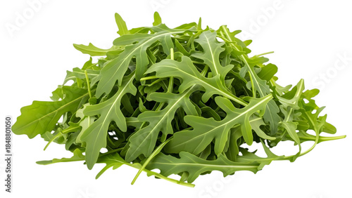 Fresh green arugula leaves isolated on a transparent background rocket salad