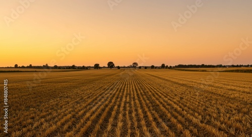Golden Hour Sunset Over a Harvested Field