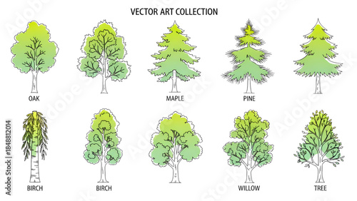 Vector illustrations of various tree types for design