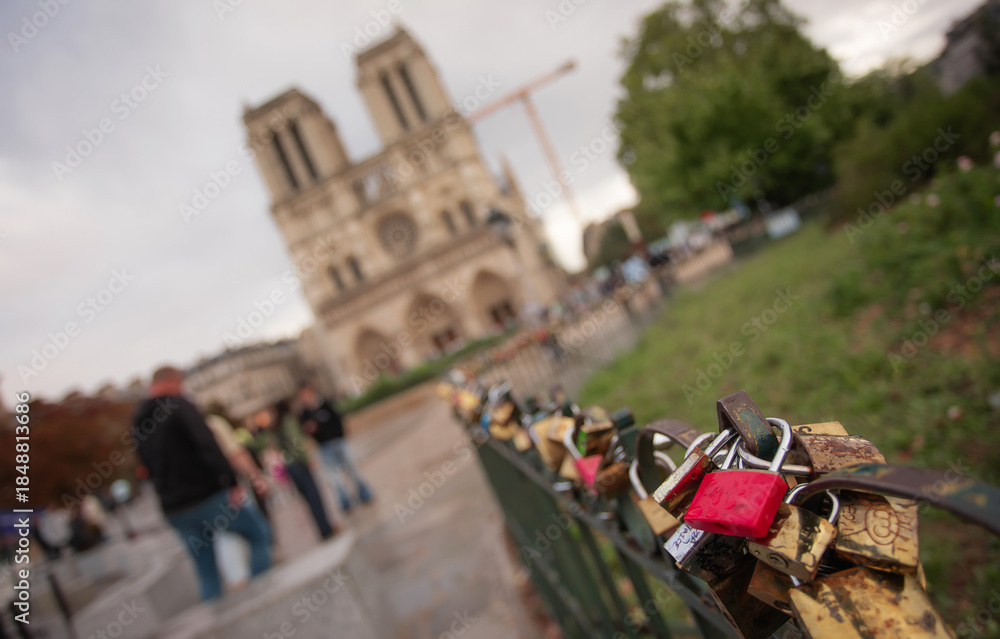 Fototapeta premium Love locks on a fence with Notre-Dame Cathedral in the background in Paris, France.