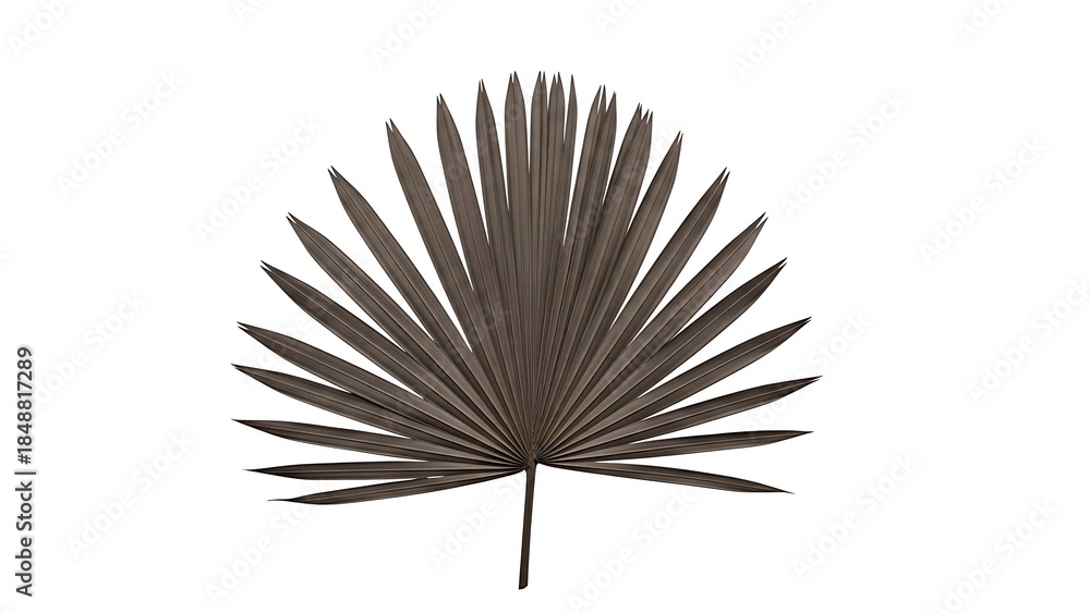 Obraz premium Single palm leaf illustration