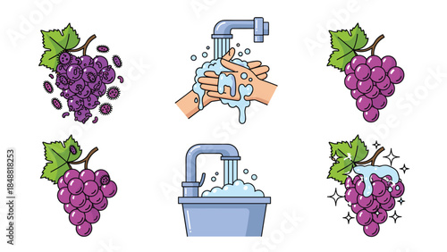 Set of icons showing the process of washing grapes to remove germs and bacteria for food safety and clean eating.