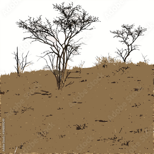 Dry grassland with sparse bushes and bare trees brown terrain