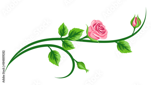Decorative element with roses. Beautiful realistic flowers, buds and leaves.