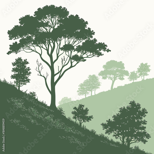 Forest hillside with layered tree density trees