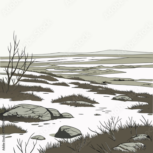 Tundra landscape with bare trees and rocks in foreground