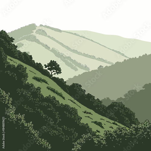 Green hillside with trees and gradual slope transitions