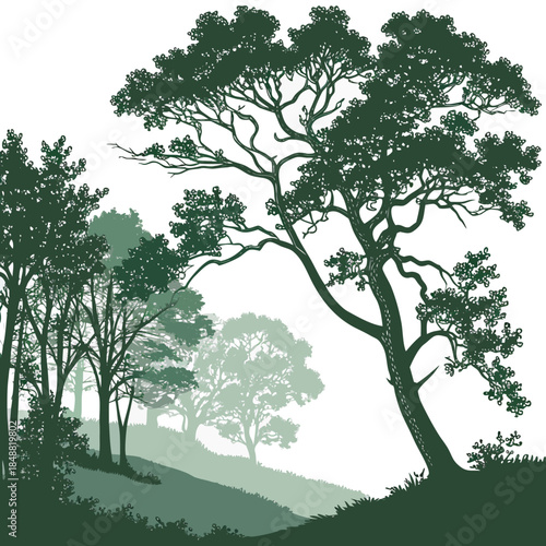 Forest edge with dense trees fading into distance green