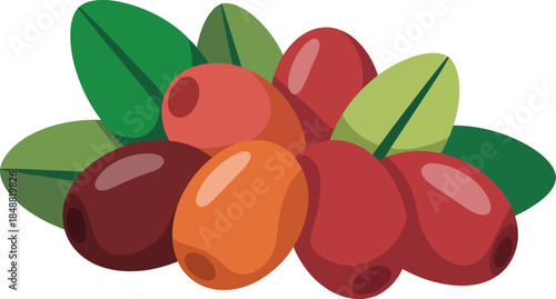 Red and orange coffee berries with green leaves on transparent background isolated object