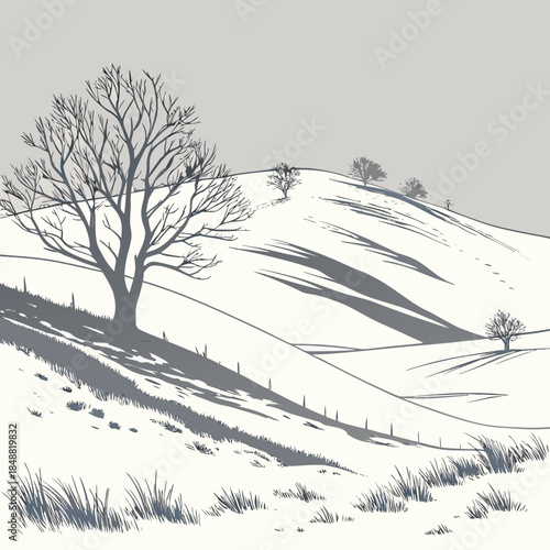Snowy hill with bare trees and gentle slopes rolling hills