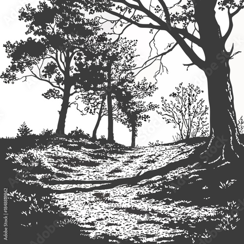 Black and white of forest clearing with trees and uneven ground