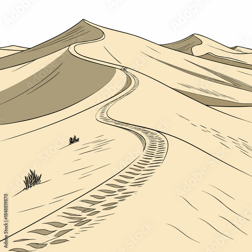 Desert sand dunes with winding road and sparse vegetation