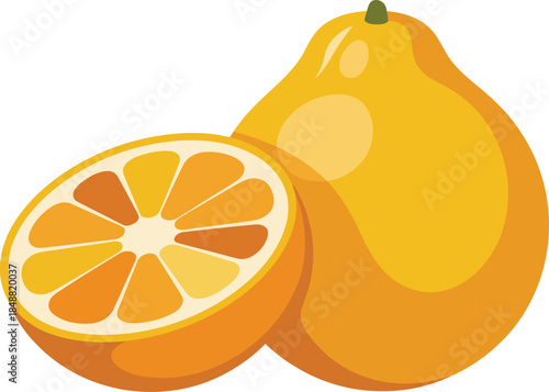 Whole large orange bergamot fruit and a half cut bergamot on transparent background