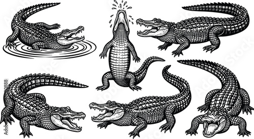 Alligator silhouette illustration set, dynamic poses and textures, black reptile design, wildlife concept, dramatic artwork