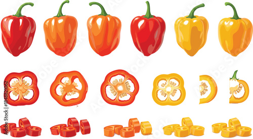 Detailed vector set featuring red, orange, and yellow habanero peppers including whole fruits, cross-section slices with seeds, and chopped pieces for spicy culinary designs.