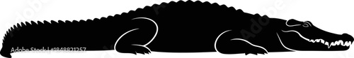 Black Silhouette of a Crocodile or Alligator Resting on White Background Iconic Reptile Wildlife Icon