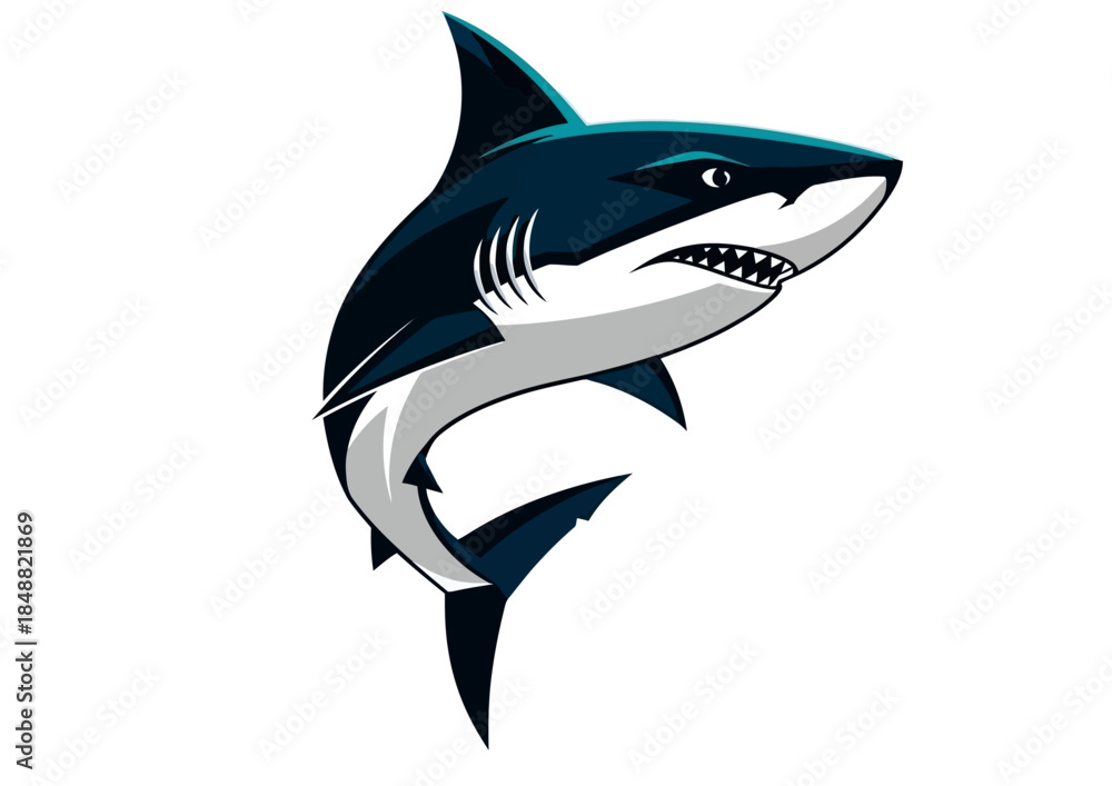 Fototapeta premium A powerful and aggressive stylized shark illustration with sharp teeth and dark blue and white coloring.