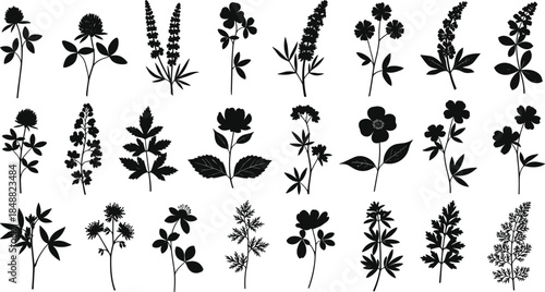 Flowering plant and herb silhouette set, botanical icon grid, leaf and stem variation, nature design concept