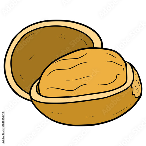 hazelnut illustration hand drawn isolated vector