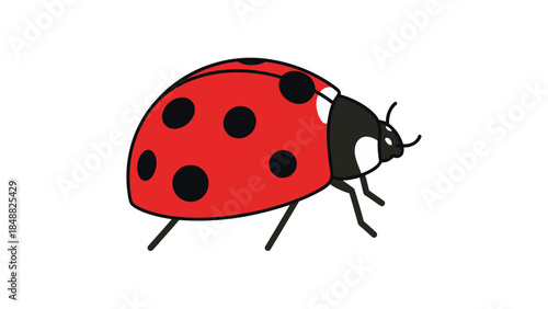 Vibrant Red Ladybug Insect with Black Spots Illustration