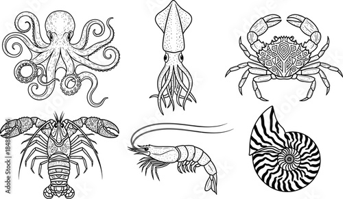 Marine invertebrate silhouette set, octopus squid crab lobster shrimp nautilus, black ocean animal illustration concept