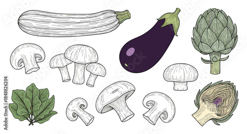 Set of fresh vegetables including zucchini, eggplant, mushrooms, and artichoke, illustrated in a detailed, colorful vintage engraving or woodcut style.