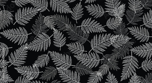 Seamless monochrome pattern of scattered white fern leaves on a solid black background, creating a dramatic and elegant botanical texture.