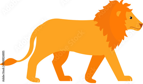 Majestic lion walks confidently, displaying vibrant orange coat, full mane, powerful physique.