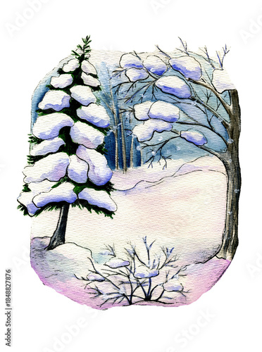 Hand-drawn watercolor winter landscape featuring a snow-covered evergreen fir tree and deciduous branches against a soft snowy background. Serene seasonal nature illustration with cozy forest vibes.