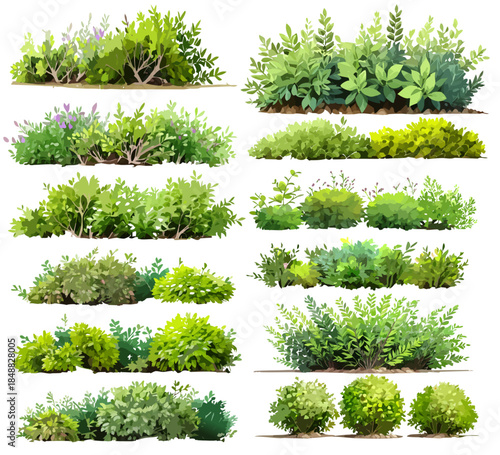 Architectural Garden Entourage